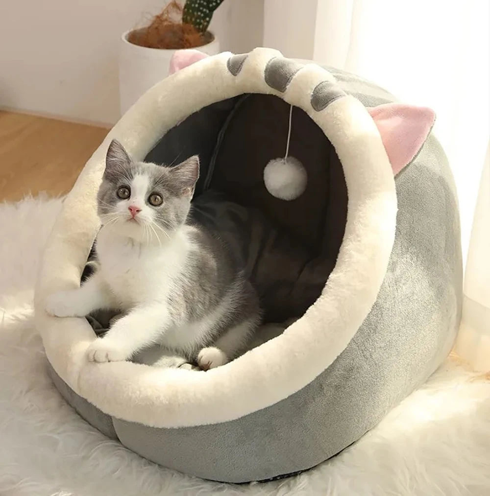 Cat Mat Cushion