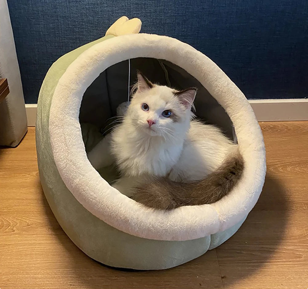 Cat Mat Cushion